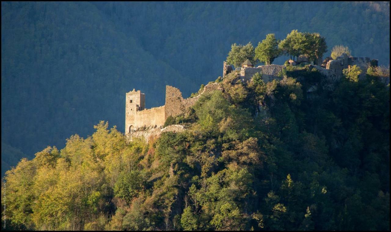 La Forge D'Andribet Villa Axiat Exterior foto